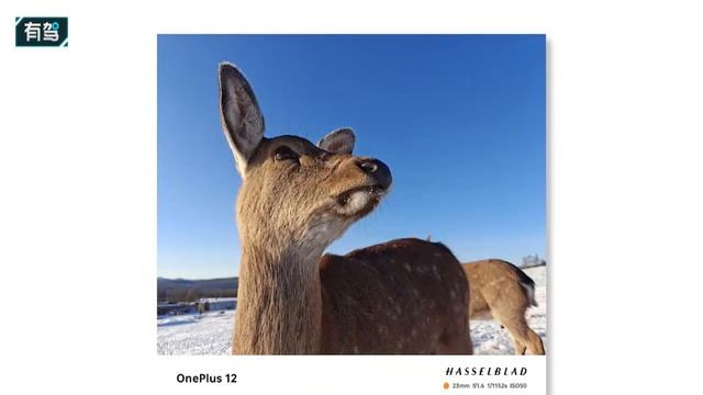 OnePlus 12 - The Worth Flagship Till Now смотреть онлайн