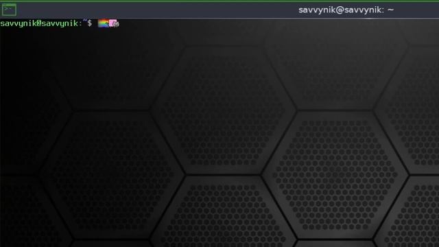 Bodhi Linux 6.0 Review | UPDATED Minimal Linux Distro with a WILD Window Manager & Terminal! смотреть онлайн