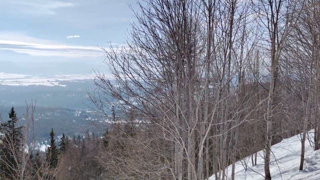 Góry Xiaomi 12x record test смотреть онлайн