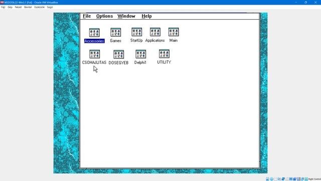 DOS 6.22 & WIN3.1 in Windows 11 system. The old operating systems are emulated by Oracle Virtual Bo смотреть онлайн