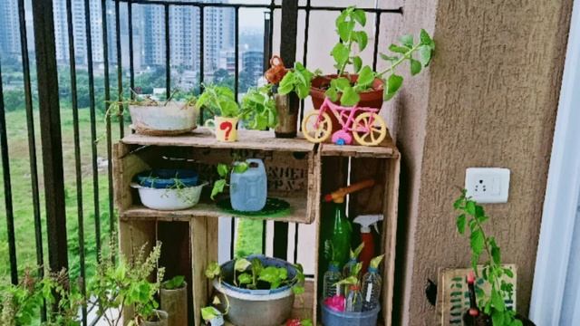 Small Balcony makeover tour ll Balcony View ll close to nature смотреть онлайн