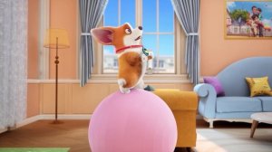 Корги по имени Моко. Простые истории 2, 92 серия. Чистый пол 