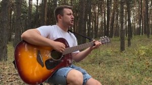 ГОП-СТОП ЗЕЛЕНЬ (армейская под гитару) / Парень круто исполнил легендарную армейскую песню!!!