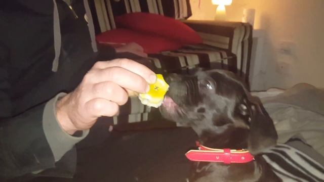 Eating apple смотреть онлайн