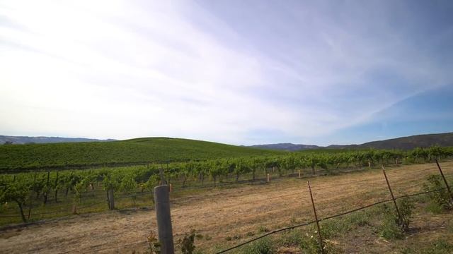 Windows XP Hill in 2020 (1996 Wallpaper - Pure Bliss) смотреть онлайн