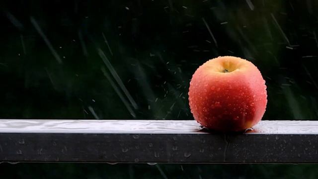 Relaxing music for stress Relief and Sleep | Soothing Relaxation | Deep sleep meditation music rain смотреть онлайн