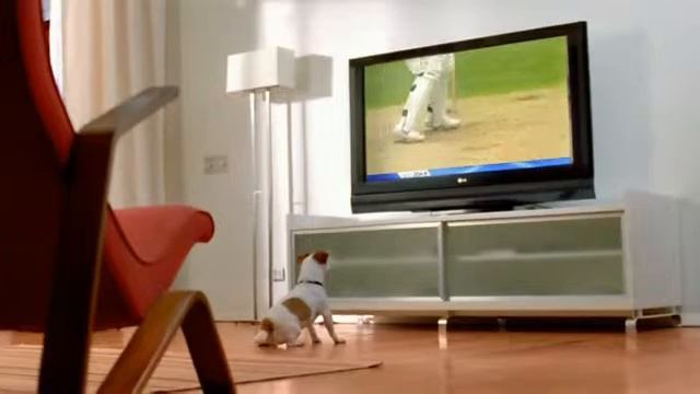 LG Dog смотреть онлайн