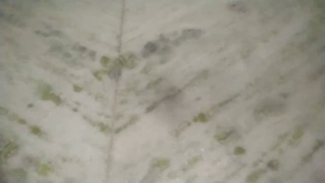 The window demons... смотреть онлайн