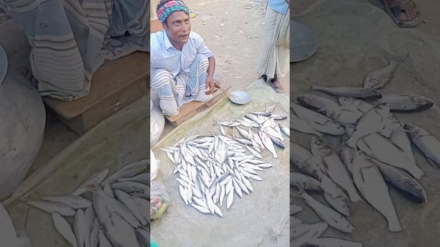 Top Fishing sells man in market смотреть онлайн