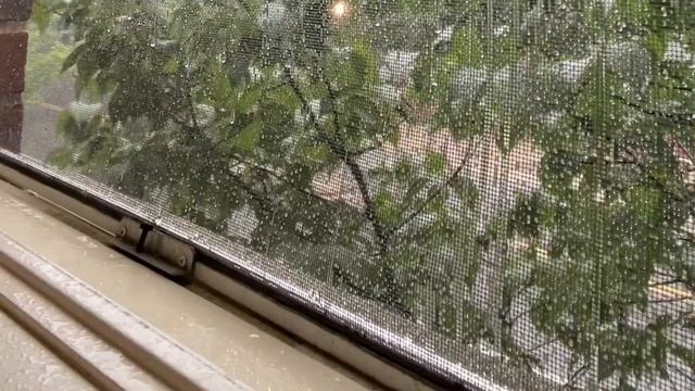 25 minutes of soft rain sounds | rain on an open window relaxing ASMR смотреть онлайн