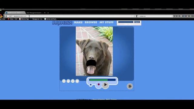 Flash Setting Windows and MacOS смотреть онлайн