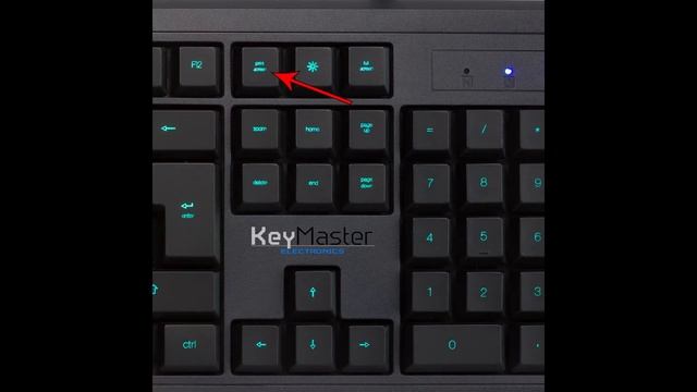 KeyMaster Learning Lights Educational Keyboard for Classroom Touch Typing Mastery смотреть онлайн