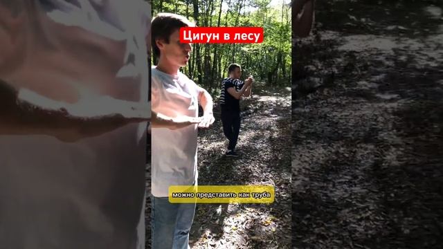 #цигун #цигунонлайн #цигундляначинающих #цигундома #цигунтур #ци #цигунмосква #большоедерево смотреть онлайн