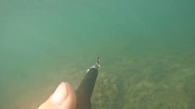 Подводная охота в черном море.