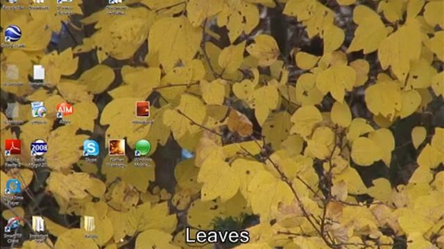 Windows DreamScene Review part four (28-54) смотреть онлайн