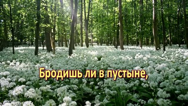 Хочет всех людей Господь благословить смотреть онлайн
