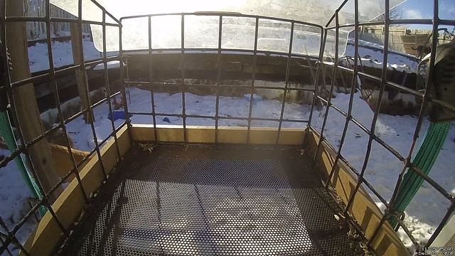 2020-12-18 window смотреть онлайн