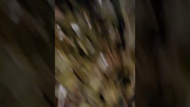 банная мистерия смотреть онлайн