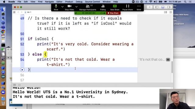 iOS 13 Apps Dev Swift5 - 1. Swift Basics смотреть онлайн