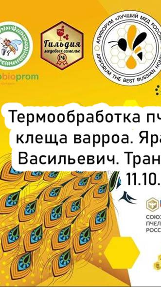 Термообработка пчелиных семей от клеща варроа. АпиФорум 2024. Яранкин В.В. Трансляция (11.10.24) смотреть онлайн