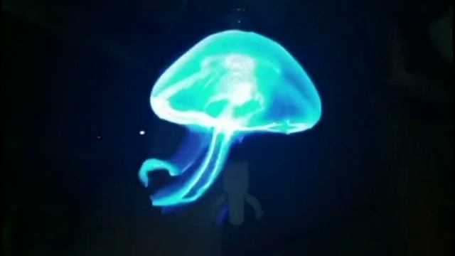 New! 3D Holographic LED Fan Display 2018 смотреть онлайн