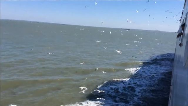 Summer 2015 смотреть онлайн