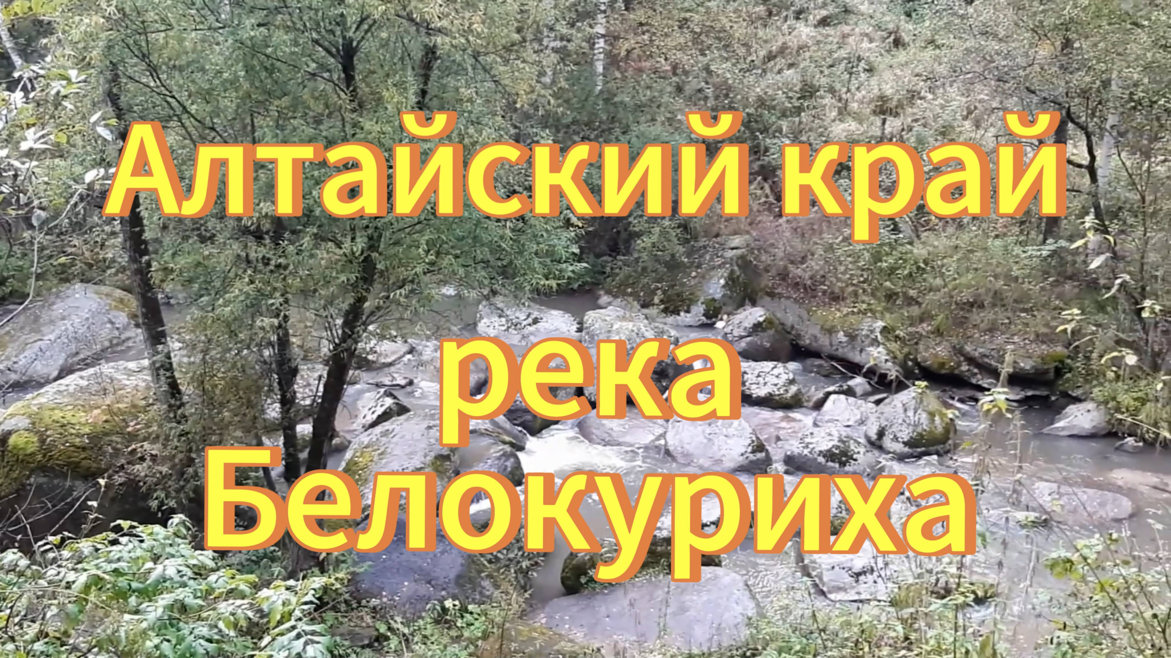 Река Белокуриха Алтайский край природа осенью. смотреть онлайн