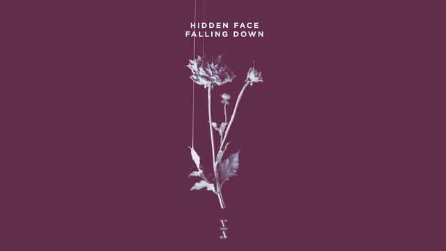 Hidden Face - Falling Down