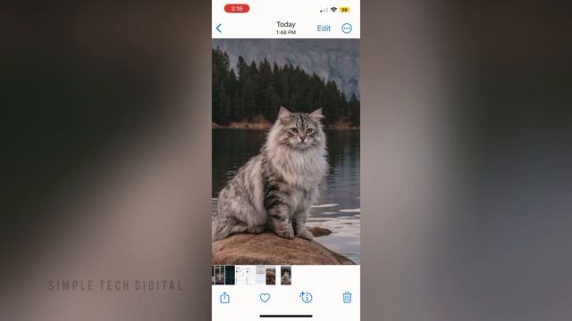 IOS 16:How to Lift Subject from Photos or Videos on iPhone смотреть онлайн