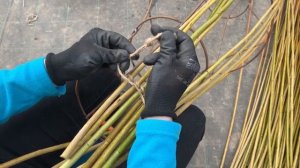 Русская ива.Мастер-класс. Плетение бутылочного дерева.