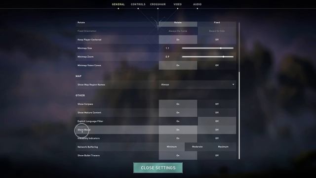 How To Enable/Disable Show Blood Valorant смотреть онлайн