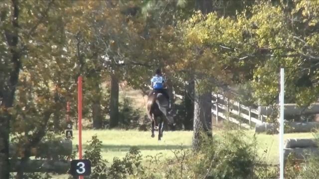 Olivia Brashear & AppleJack Texas Rose Horse Trials November 2012 смотреть онлайн