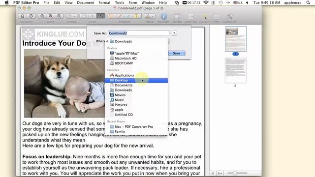 Fast to Create PDF from Web Pages, Text files and Images on Mac смотреть онлайн