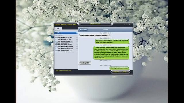 Transfer iPhone 5s SMS to iPhone 6 смотреть онлайн