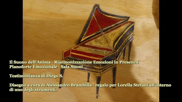Testimonianza di Diego S. - Il Suono dell'Anima in presenza смотреть онлайн