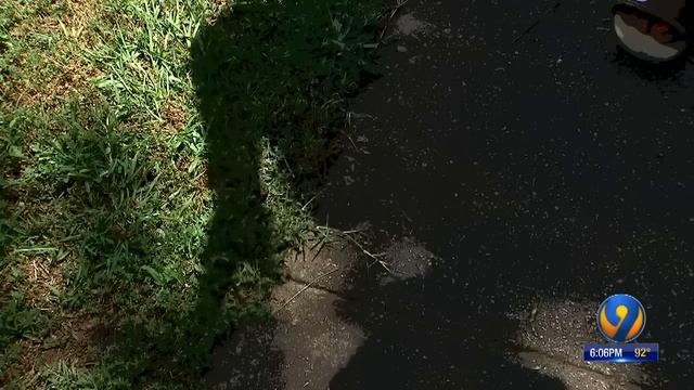 Rock Hill police officer fired after pulling gun during traffic stop for seat belt violation смотреть онлайн