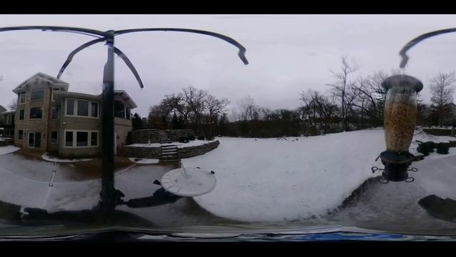 Ricky Bobby's Birdland - VR смотреть онлайн