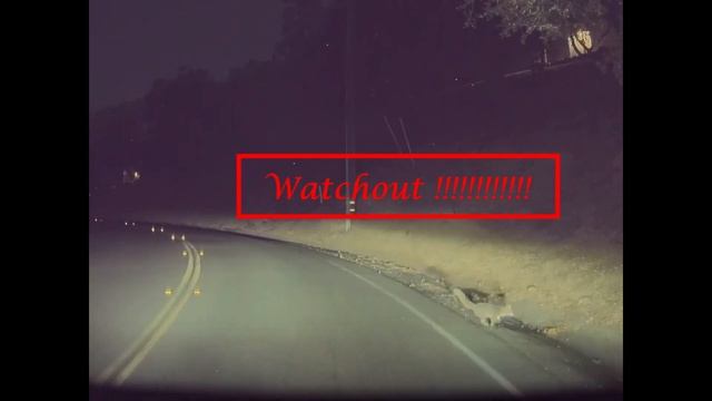 Tesla's FSD Beta Saves the Life of a Silver Fox !! смотреть онлайн