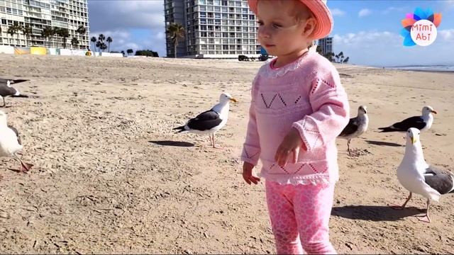 Feeding Seagulls M&M's Toy Car Машина Эмемдемс Кормим Чаек Обед для чаек на океане Развлечения смотреть онлайн