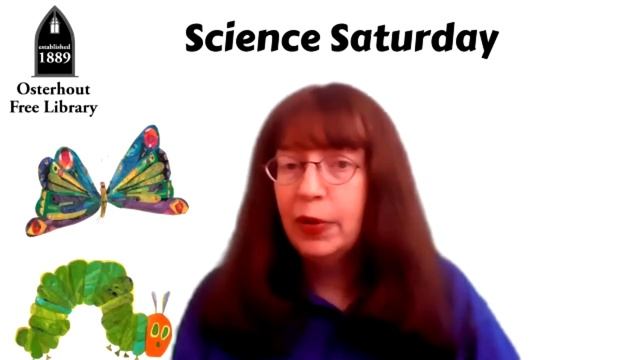 Science Saturday: The Very Hungry Caterpillar Challenge смотреть онлайн