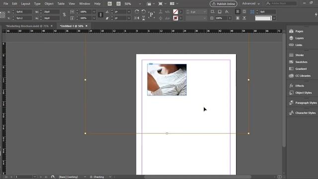 How To Place Images in Frames | Adobe InDesign for Beginners - Phlynn Studios смотреть онлайн