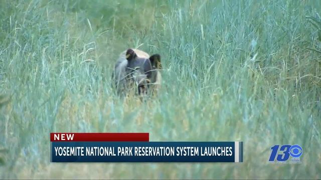 Arizona first state to add driver licenses to Apple Wallet смотреть онлайн