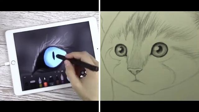Drawing Cat | iPad Vs Pencil | Please Like, Share & Subscribe смотреть онлайн