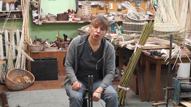Русская ива. Видео обзор. Подготовка ивового сырья к плетению.