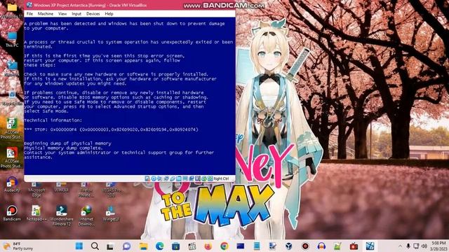 Windows XP BSOD 765 (2023) смотреть онлайн