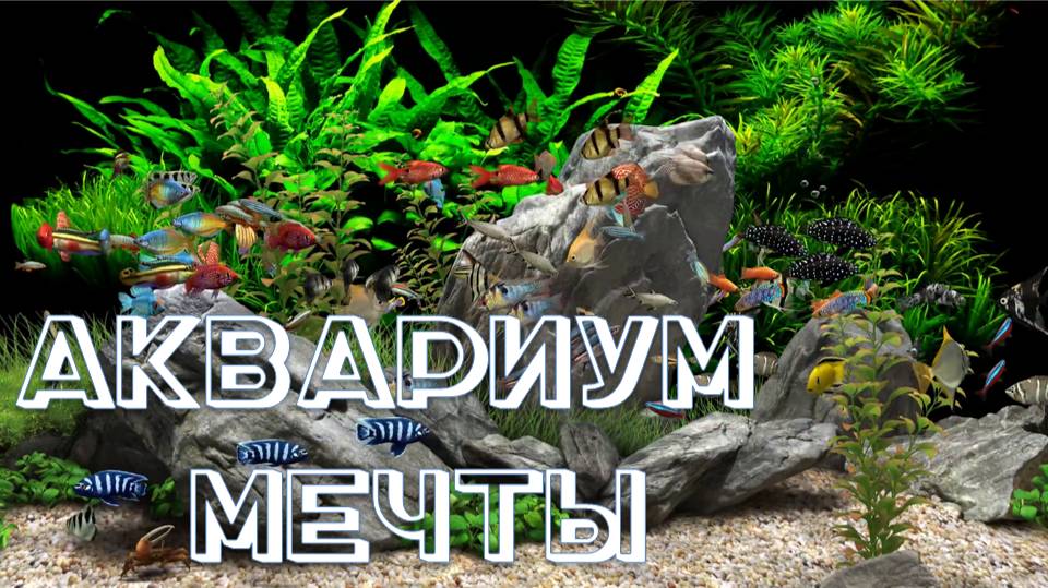 АКВАРИУМ МЕЧТЫ FHD