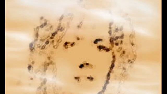 Esterday-demo.wmv смотреть онлайн