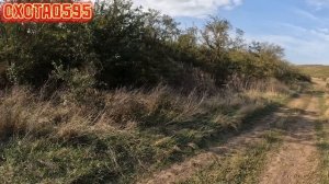 Охота с Гончими в Дагестане