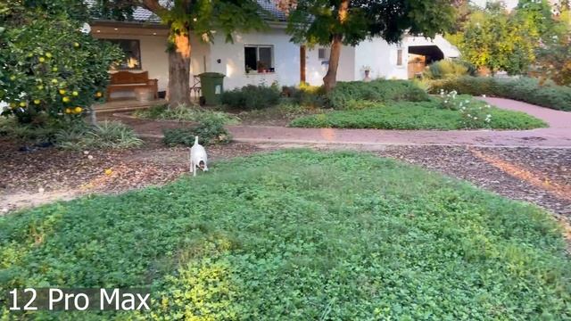 iPhone 12 Pro Max Vs Galaxy Note 20 Ultra - Camera Comparison смотреть онлайн