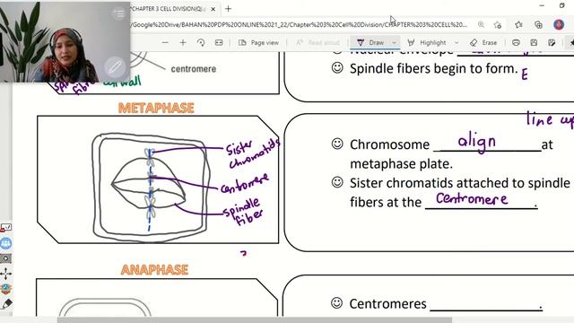 Tutorial 1 Week 9: Subtopic 3.3 Mitosis and Cytokinesis смотреть онлайн